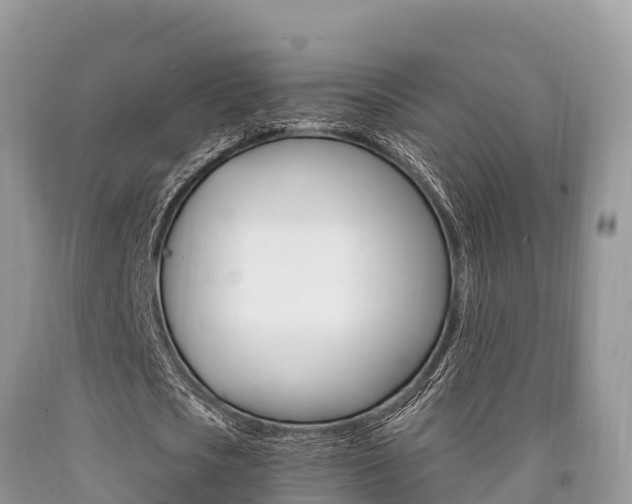 X0000090720721200707201013