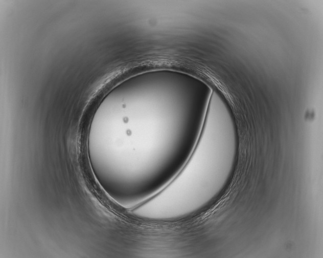 X0000090720722200707201013
