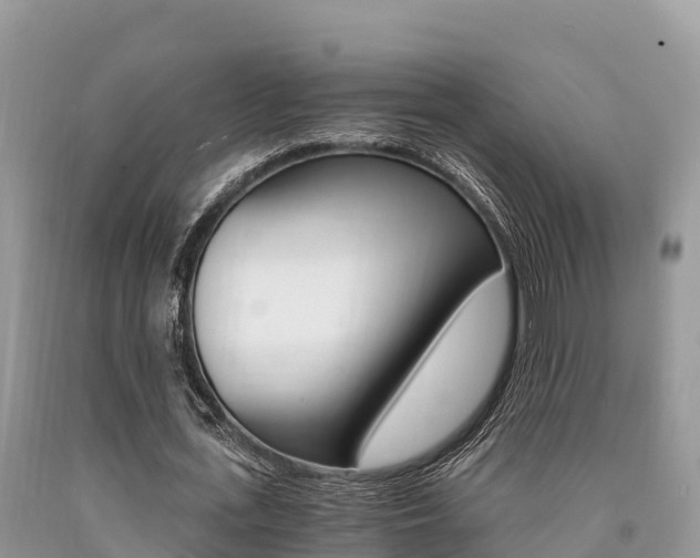 X0000090720723200707201013