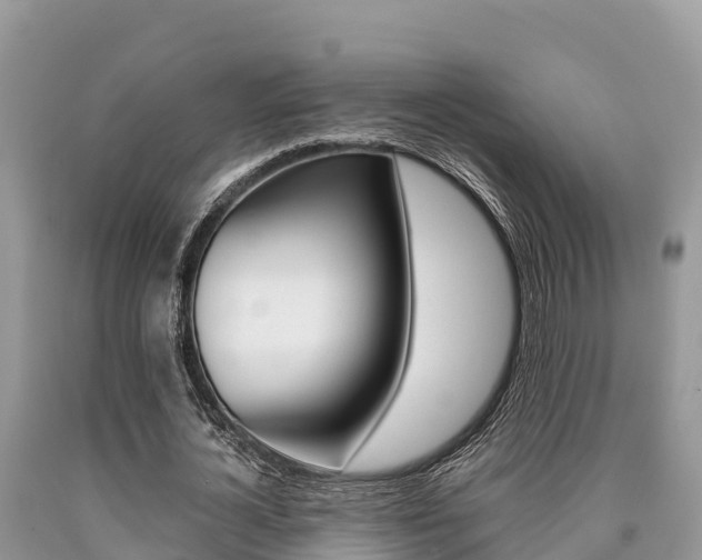 X0000090720724200707201013
