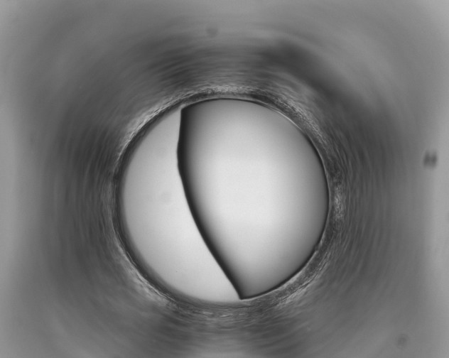 X0000090720725200707201013