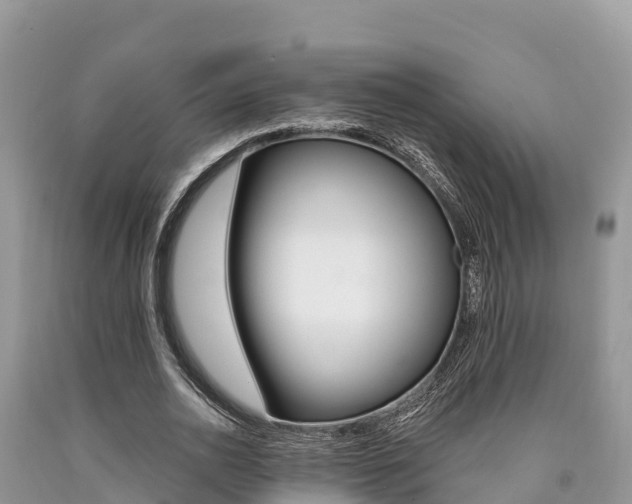 X0000090720726200707201013