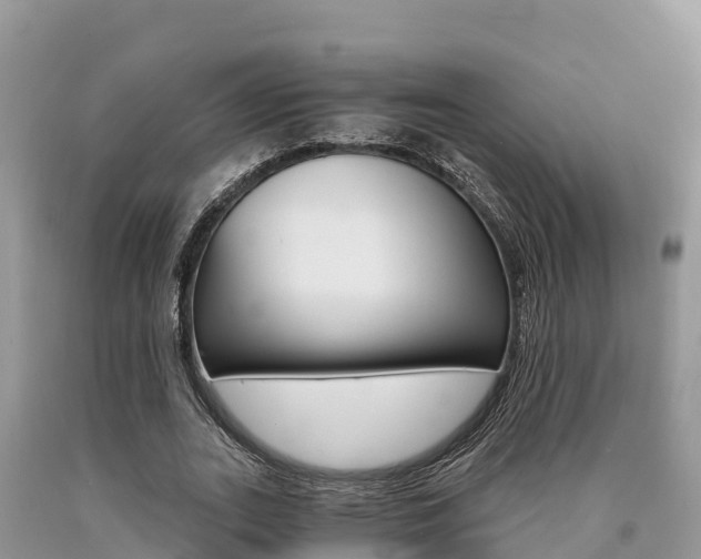 X0000090720727200707201013