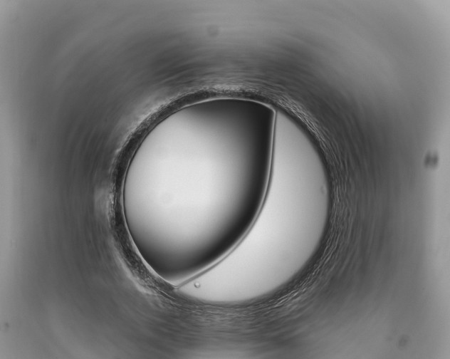 X0000090720728200707201013