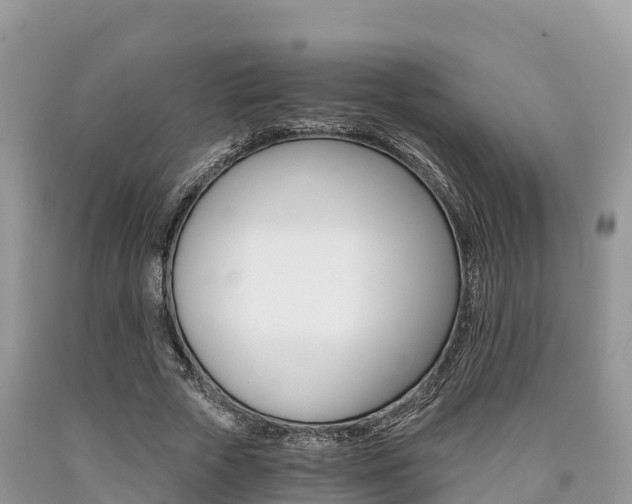 X0000090720729200707201013