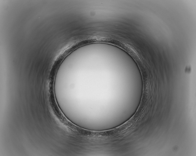 X0000090720730200707201013