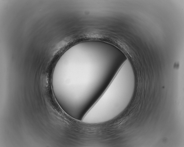 X0000090720731200707201013