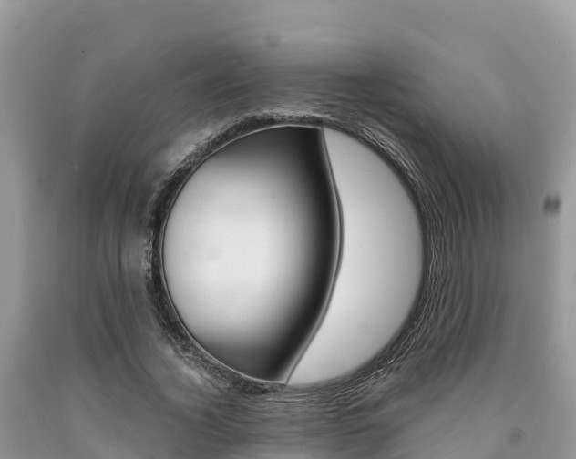 X0000090720732200707201013