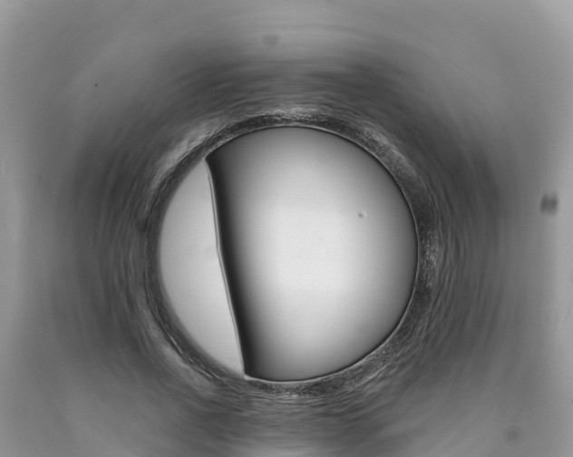 X0000090720734200707201013