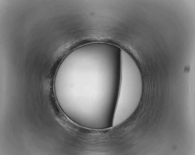 X0000090720736200707201013