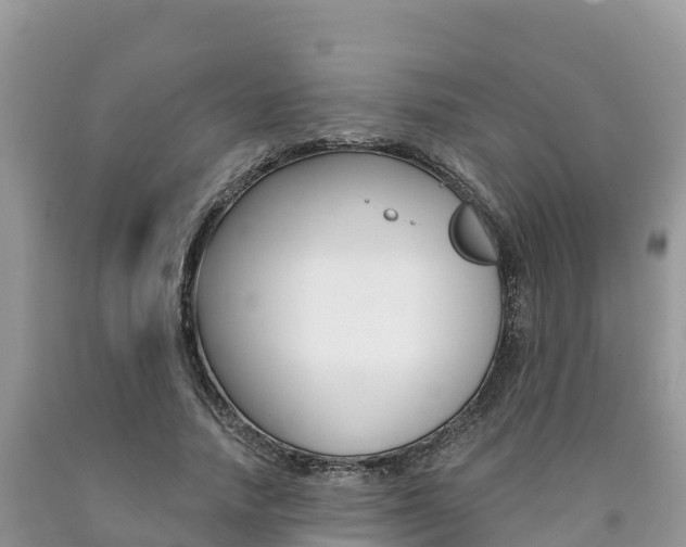 X0000090720738200707201013