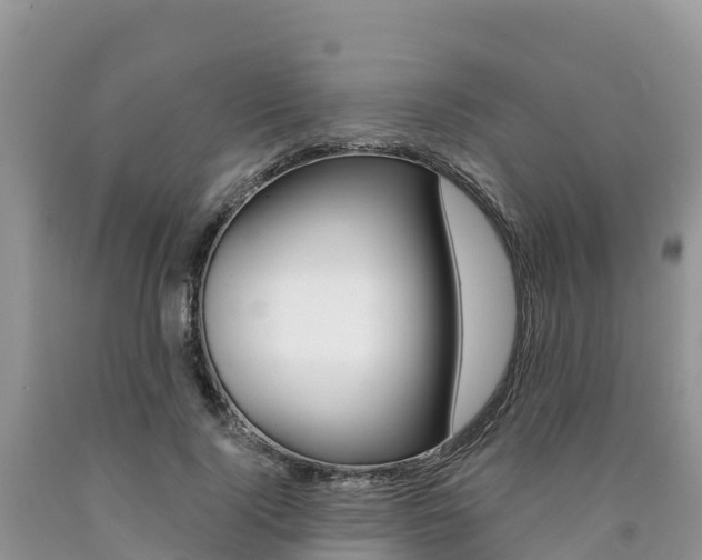 X0000090720740200707201013