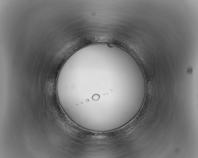 X0000090720741200707201013