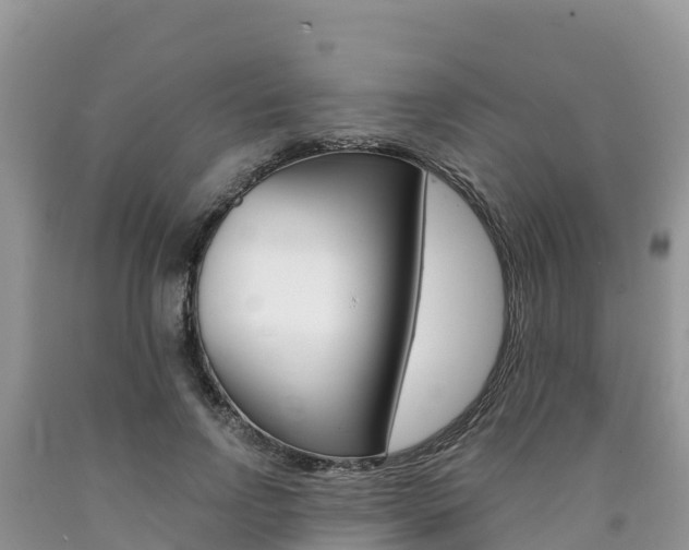 X0000090720742200707201013