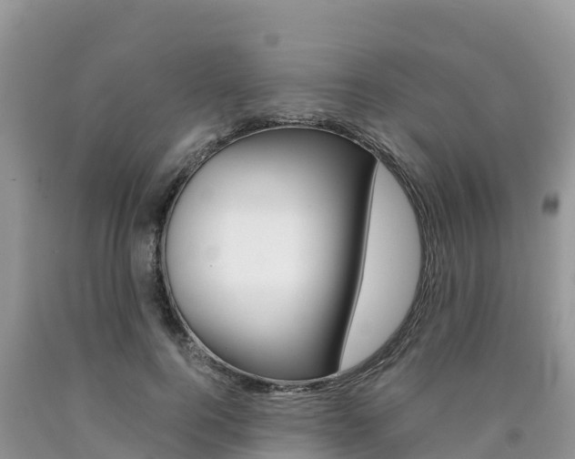 X0000090720744200707201013