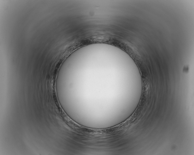 X0000090720745200707201013