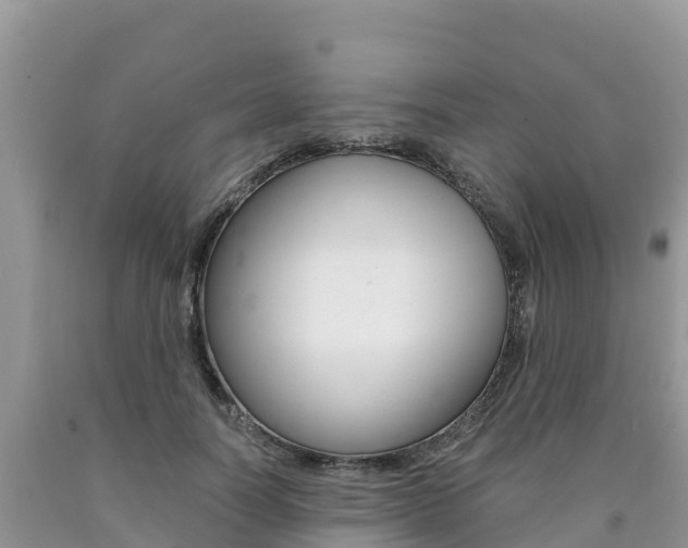 X0000090720746200707201013