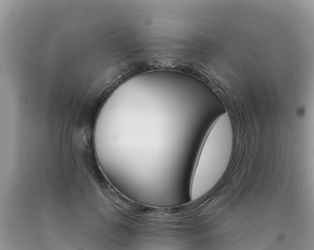 X0000090720747200707201013