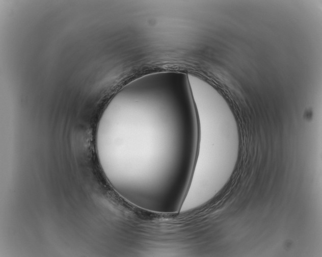 X0000090720748200707201013