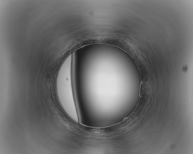 X0000090720750200707201013