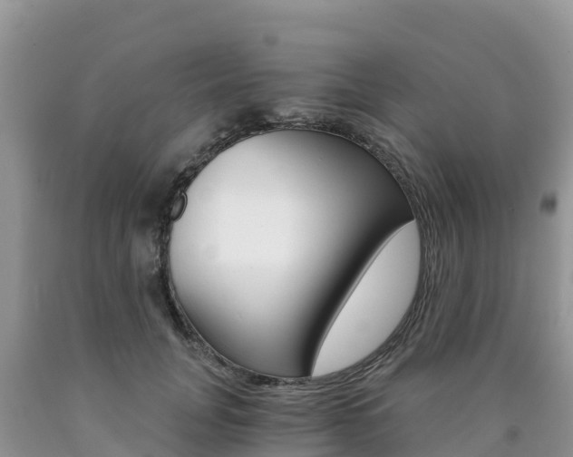 X0000090720751200707201013