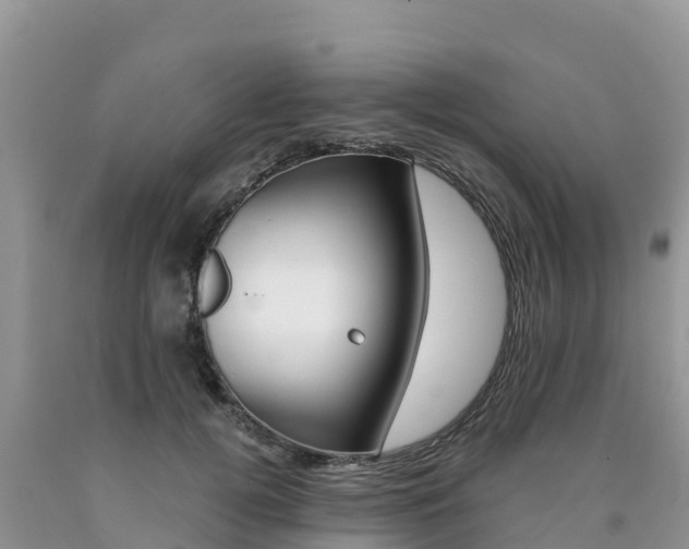 X0000090720752200707201013