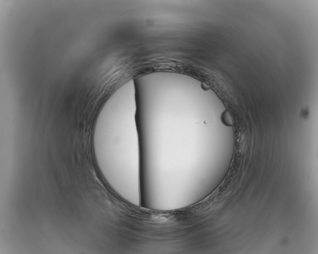 X0000090720753200707201013