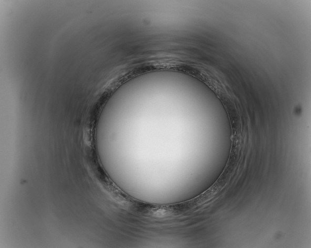 X0000090720755200707201013