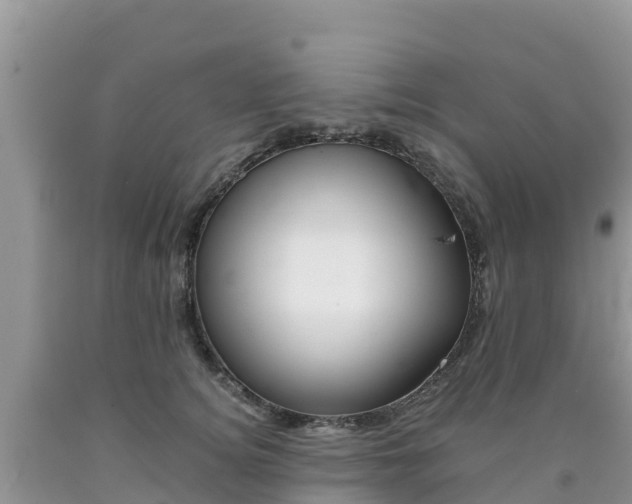 X0000090720756200707201013