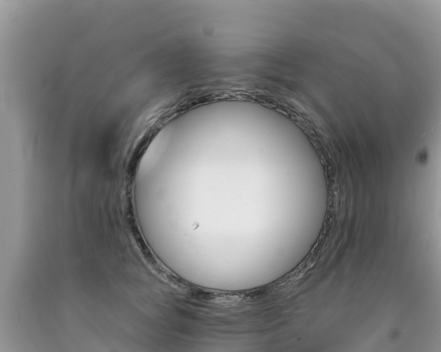 X0000090720757200707201013