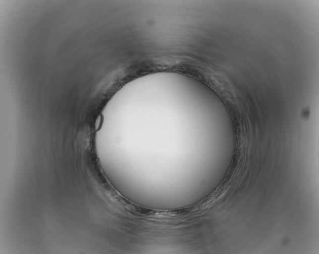 X0000090720758200707201013
