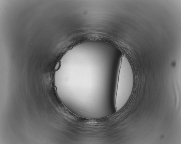X0000090720759200707201013