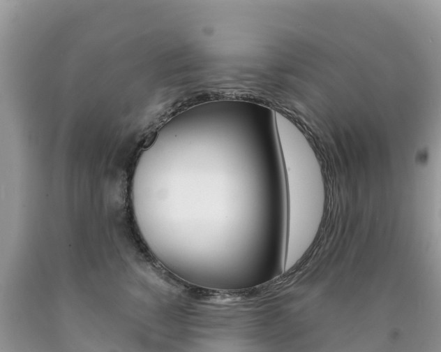 X0000090720760200707201013