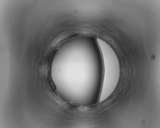 X0000090720762200707201013