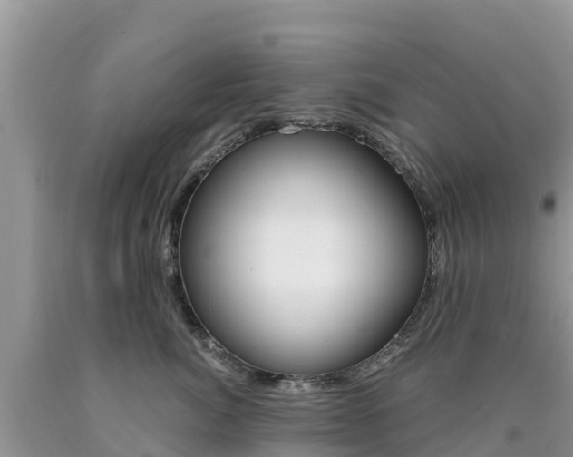 X0000090720764200707201013