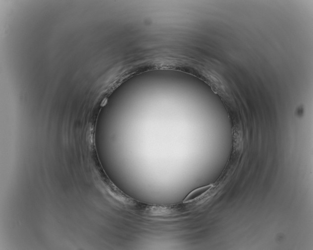 X0000090720766200707201013