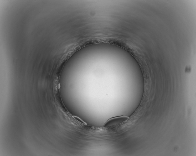 X0000090720768200707201013