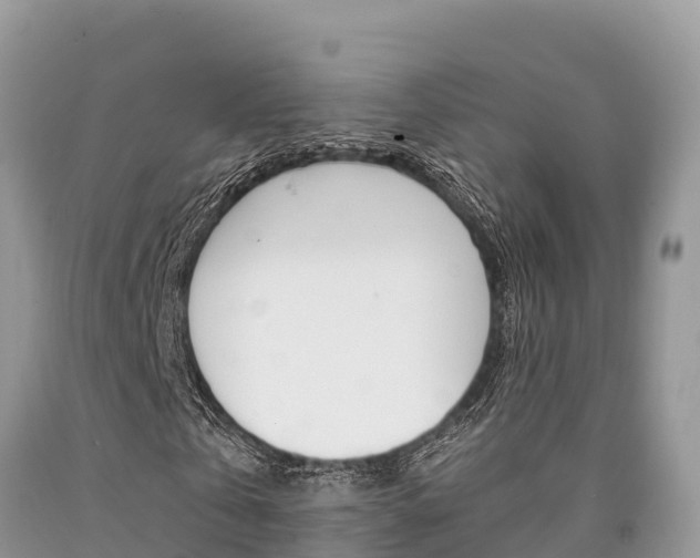 X0000090720769200707201013