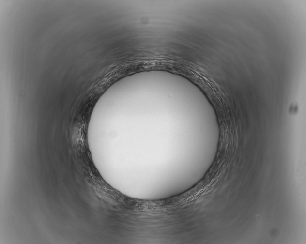 X0000090720770200707201013