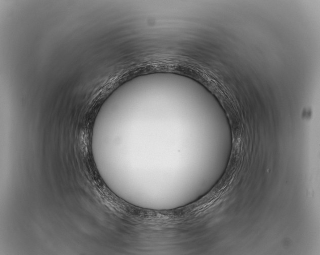 X0000090720772200707201013