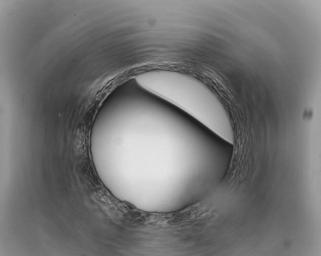 X0000090720773200707201013