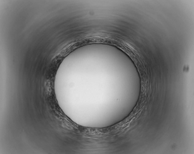 X0000090720774200707201013