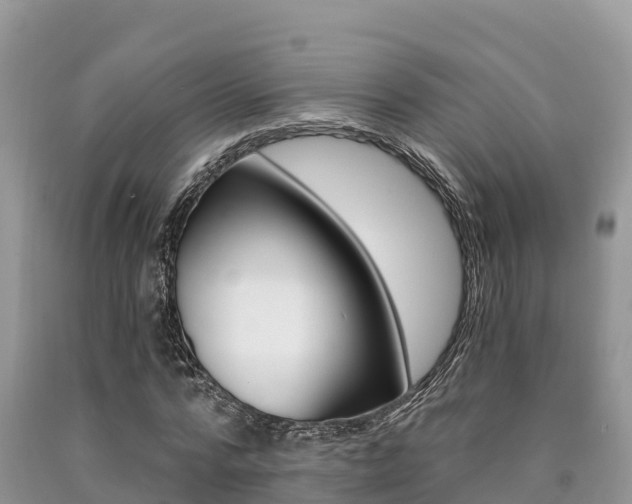 X0000090720776200707201013