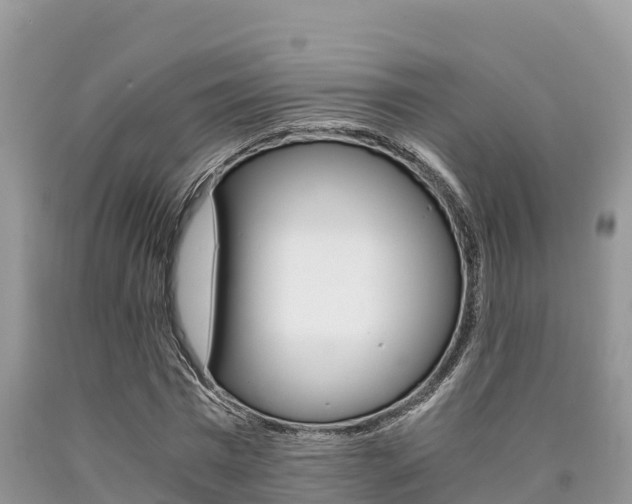 X0000090720777200707201013