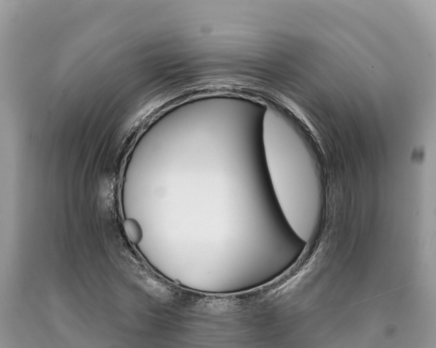 X0000090720778200707201013