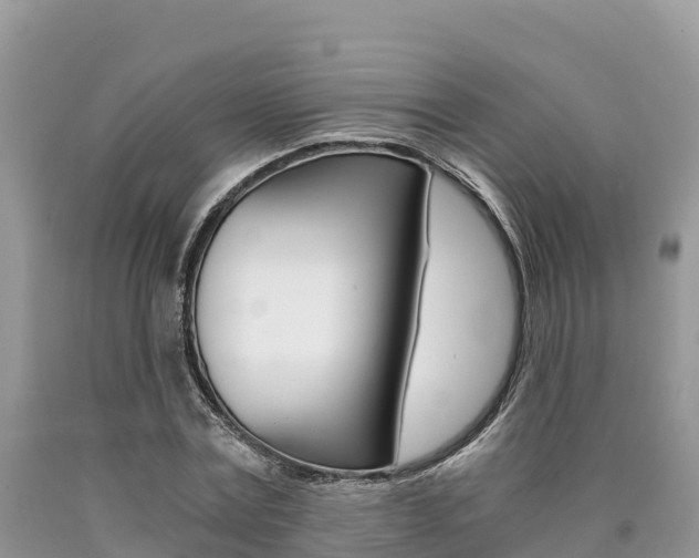 X0000090720779200707201013