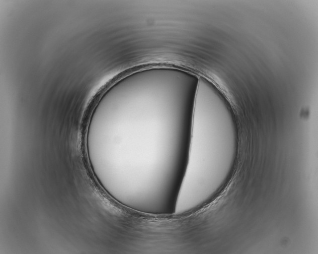 X0000090720780200707201013