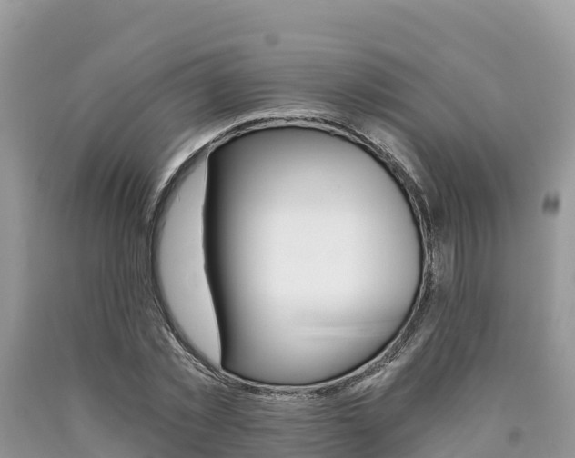 X0000090720781200707201013