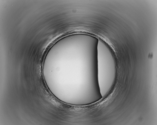 X0000090720782200707201013