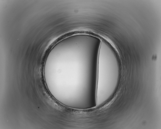 X0000090720783200707201012